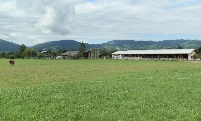 Steigmatt Bauernhof- Erlebnis Villa Montlingen Eksteriør bilde