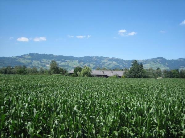 Steigmatt Bauernhof- Erlebnis Villa Montlingen Eksteriør bilde