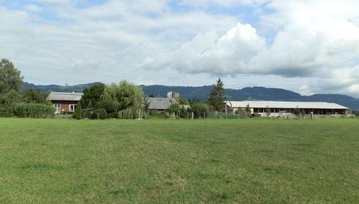 Steigmatt Bauernhof- Erlebnis Villa Montlingen Eksteriør bilde